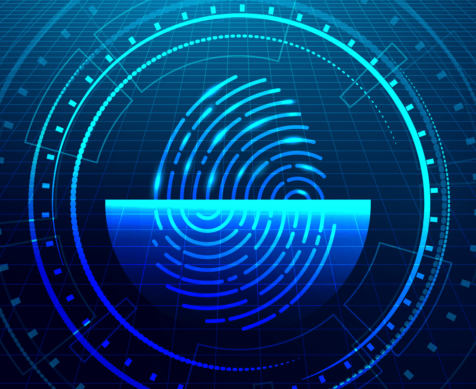 Fingerprint identity security