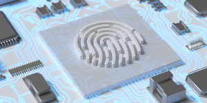 Identity data fabric
