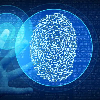 Identity intelligence fingerprint