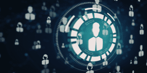 Interconnected network of digital identities